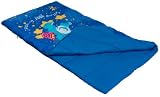 Care Bears Slumber Bag