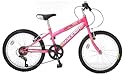 Raleigh 20" Girls Bike Sunbeam