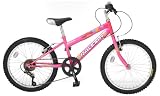 Raleigh 20 Girls Bike Sunbeam
