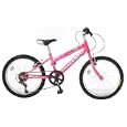 Raleigh 20" Girls Bike Sunbeam