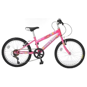 Raleigh 20" Girls Bike Sunbeam