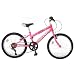 Raleigh 20" Girls Bike Sunbeam