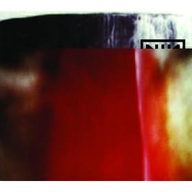 Abstract photographic album cover for The Fragile by industrial rock-band Nine Inch Nails