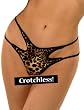 Animal Instinct Crotchless Plus Panty