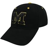 Zephyr Michigan Wolverines Black DH Fitted Hat