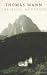 The Magic Mountain