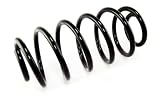Omix-Ada 18283.02 Coil Spring Set