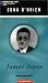James Joyce (Penguin Lives)
