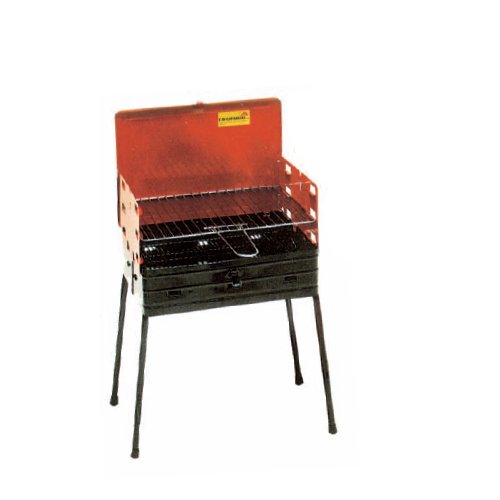barbecue bois ou du charbon et refermable de grille en acier