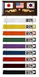Ten Level Belt Display