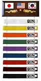 Ten Level Belt Display