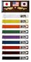 Ten Level Belt Display