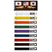 Ten Level Belt Display
