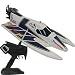 DOLPHIN R/C Power Speedboat (Nitro Power Boat - Remote Controlled)
