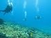 Diving Cedral Wall, Experienced Diver on Left, Inexperienced on Right, Cozumel, Mexico Sports Photographic Poster Print by Michael S. Lewis, 24x18