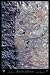 Satellite Print of Boulder, Colorado, 24"x36"
