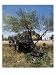 Goldfield Ghost Town, Apache Junction, Arizona, USA, Arizona Photographic Poster Print, 18x24