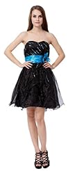 Organza Knee Length Sweetheart Beaded Evening Dress 