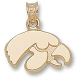 Univ Of Iowa Tiger Hawk Pendant (10kt)