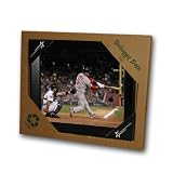 MLB St. Louis Cardinals Alberto Pujols 13x11 Treehugger Framed 3-D Photo