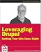 Leveraging Drupal: Getting Your Site Done Right (Wrox Programmer to Programmer)