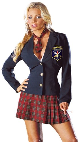 Sexy Schoolgirl Costume