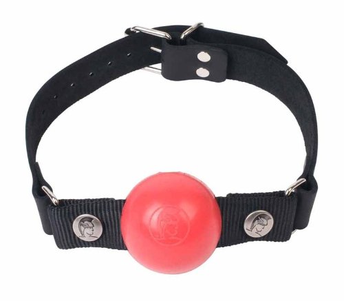 Removable Silicone Ball Gag (Red) 2in.
