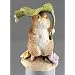 Beatrix Potter Miniature Figurine - Timmy Willie under Leaf (A2354)