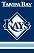 Tampa Bay Devil Rays Applique Embroidered Banner Flag 44"x28" MLB Baseball Fan Shop Sports Team Merchandise