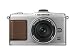 OLYMPUS マイクロ一眼 PEN E-P2 パンケーキキット シルバー E-P2PKIT-SLV