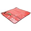 Eclipse 900-056 (8PK-AS07-1) Field Service ESD Protection Kit