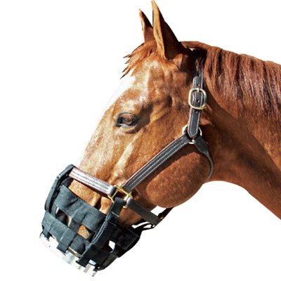 Best Friend Free to Eat Cribbing Muzzle