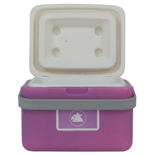 10T Fridgo 5 Glacière passive Lavande/Gris Clair 27 x 22 x 19,5 cm