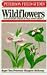 A Field Guide to Wildflowers of Northeastern and North-central North America (The Peterson Field Guide Series, 17)