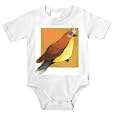 Onesie with brown, garrulus, bombycilla, bird