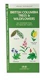 British Columbia Trees and Wildflowers: An Introduction to Familiar Plants (Canadian Nature Guides)