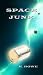 Image of Space Junk (Dar's Adventures in Space)