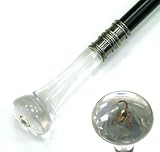 Scorpion Cane Sword