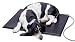 Pet Supplies : K&H Manufacturing Lectro-Kennel Heated Pad 22.5" x 28.5"