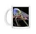 Anopheles mosquito, SEM Photo Mugs