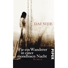 Wie ein Wanderer in einer mondlosen Nacht: Roman