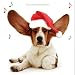 Christmas Bells Basset Hound Luxury Christmas Cards Pack