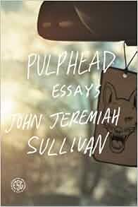 Pulphead essays sullivan 08 image