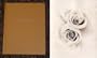 Rosa Ferreus (One Picture Books)