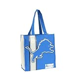 Detroit Lions Medium Tote Bag (Measures 13