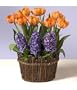 Brilliant Bulbs