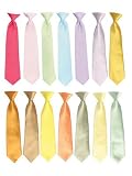 Satin Color Tie for Ring Bearer