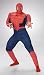 Search : Spider Man Muscle Adult Costume