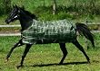 Rhino Original Medium Turnout