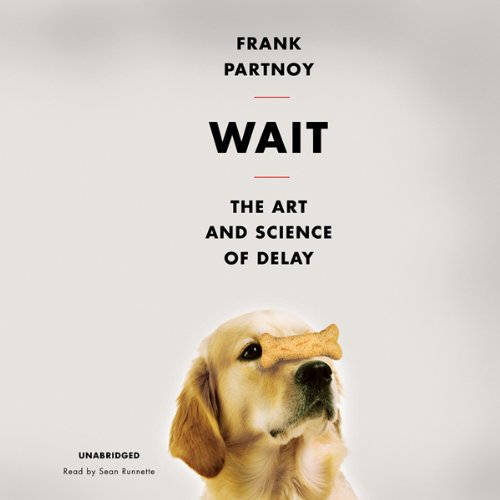 Wait - The Art and Science of Delay - Frank Partnoy